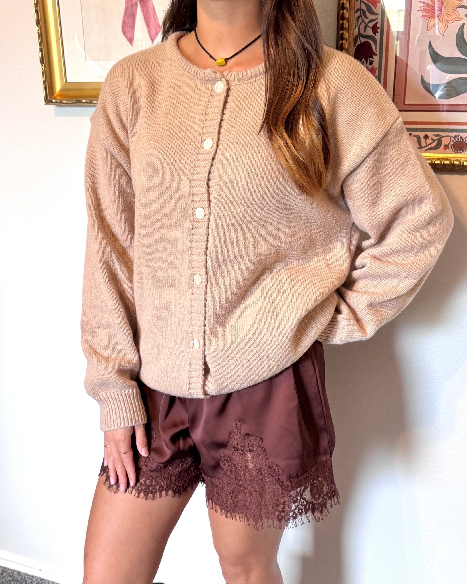 Lace Trim Satin Shorts Shorts